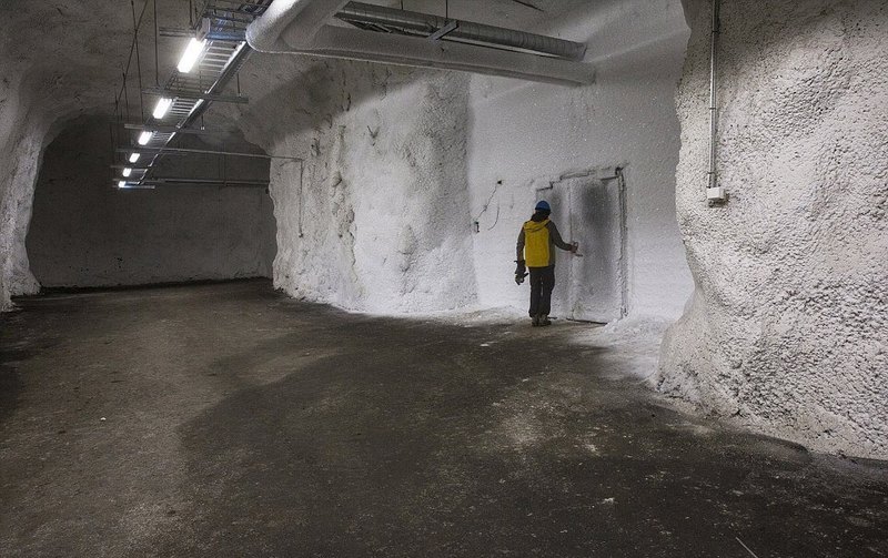 Бункер в Норвегии с миллионами «архивных» семян затопило из-за таяния вечной мерзлоты