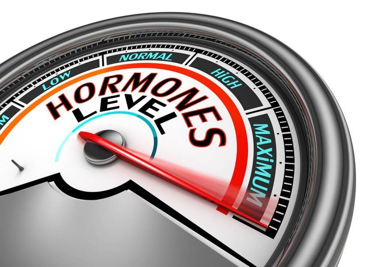 Анализ на половые гормоны: Расшифровка результатов