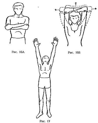  Упражнения для поднятия и укрепления бюста