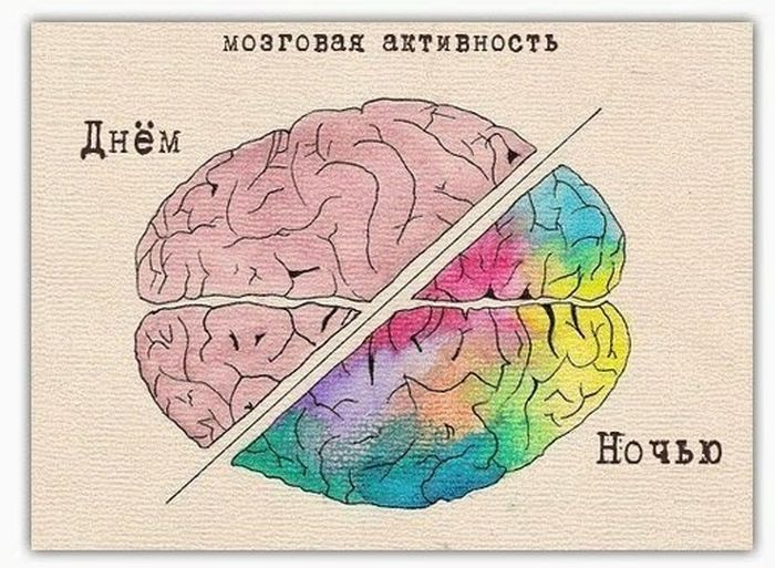 Иван Пигарёв: Как работает мозг во время сна