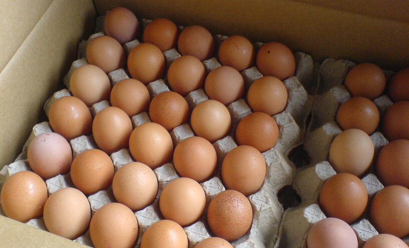 Уловки с датой выпуска, размером и мытьем при продаже яиц