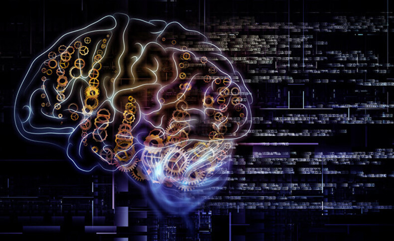 3 вида интеллекта: мозга, души и тела