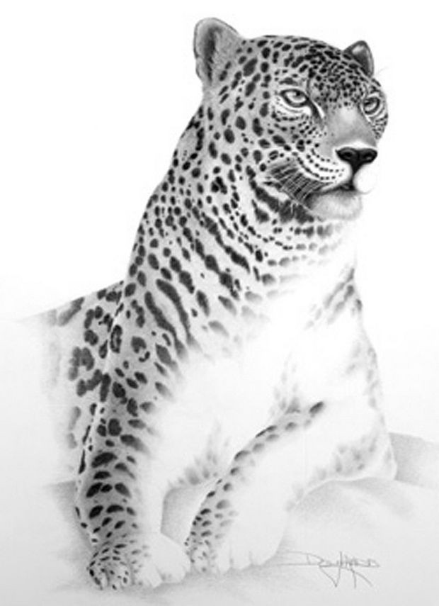 Дуг Лэндис — парализованный художник, рисующий ртом