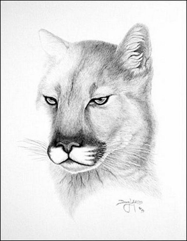 Дуг Лэндис — парализованный художник, рисующий ртом