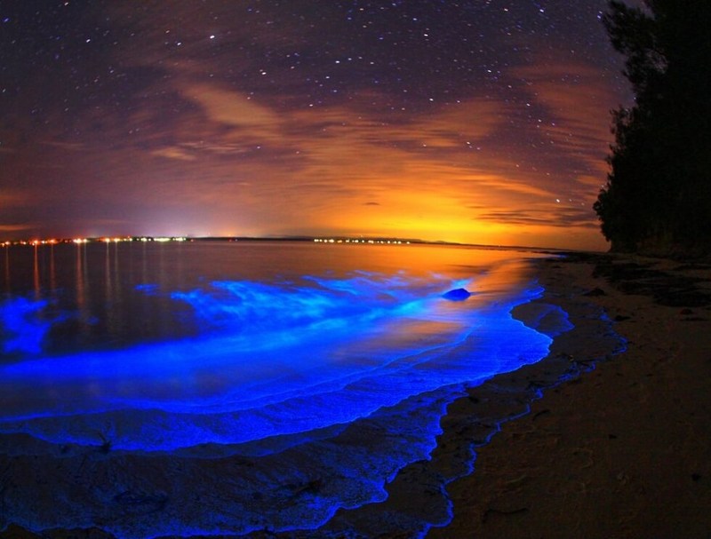Мерцающие озера: Феномен «светящихся вод» 