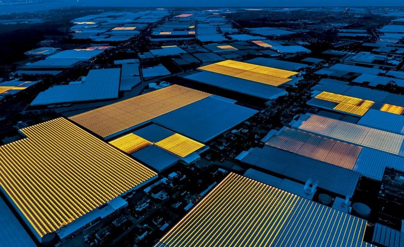 Нидерланды: высокотехнологичное будущее сельского хозяйства