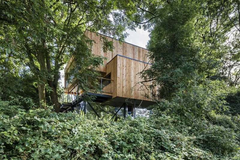 Энергоэффективный дом среди деревьев: конструктив и архитектура