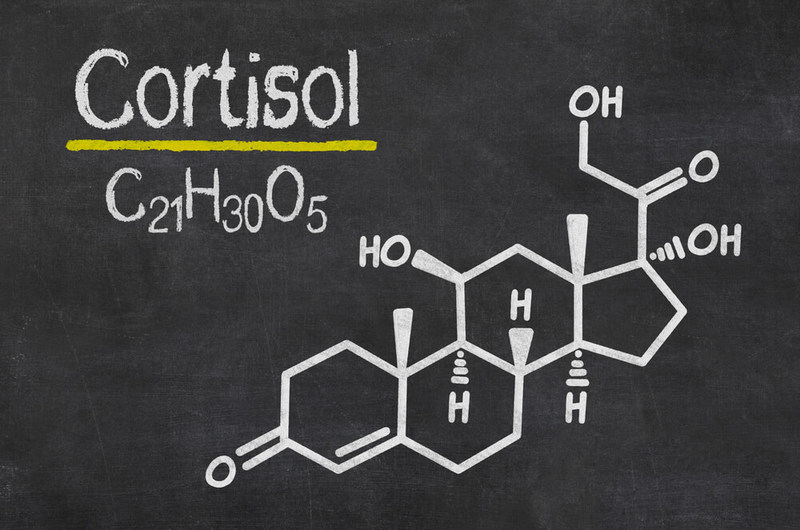 Кортизол: Что делать, если гормон стресса повышен