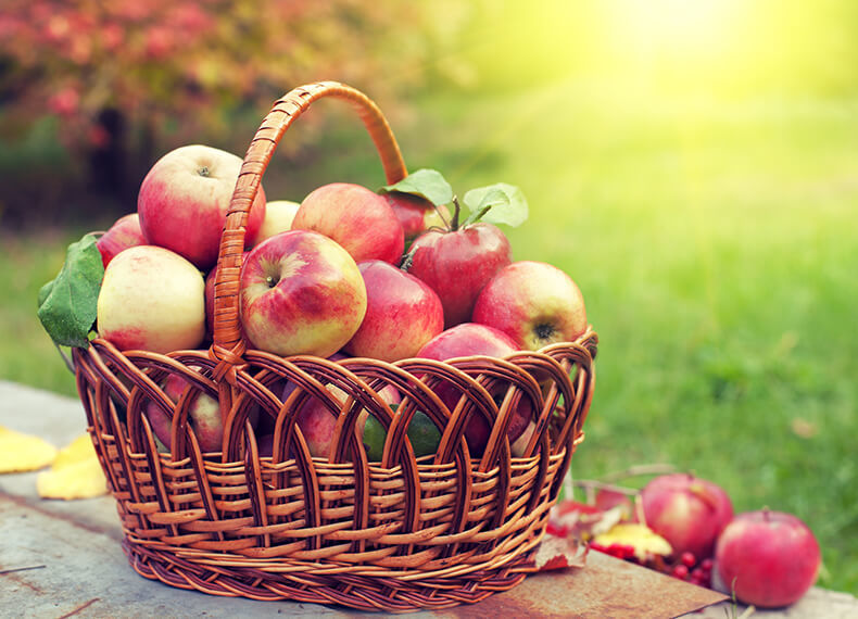 Преображение Господне: Для чего освящают яблоки