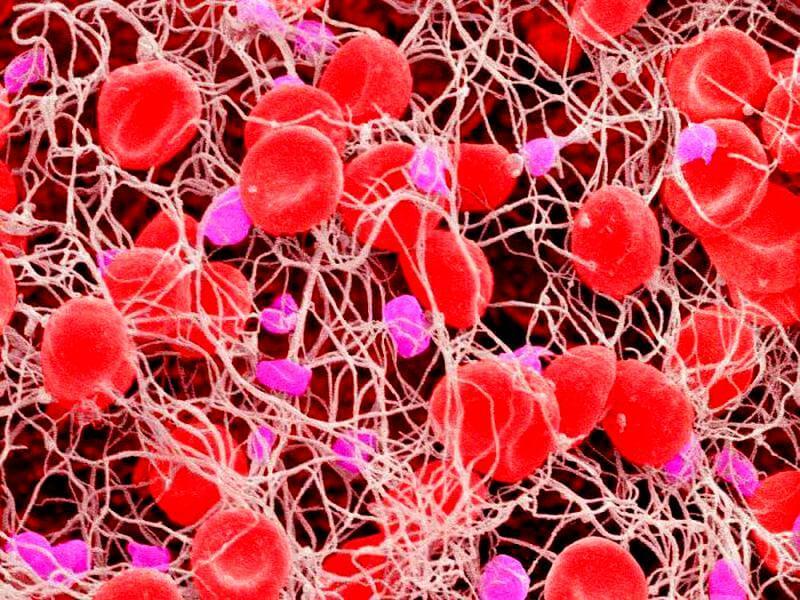 9 ГЛАВНЫХ показателей крови, которые расскажут о здоровье