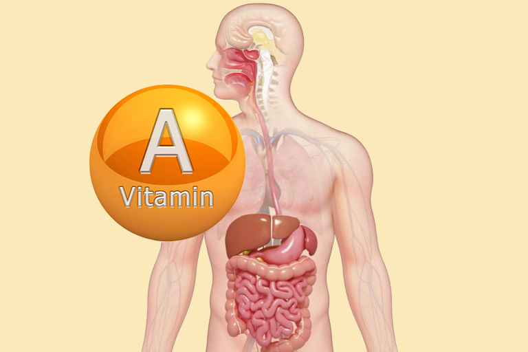 Важнейшие витамины: Что необходимо знать про витамин А