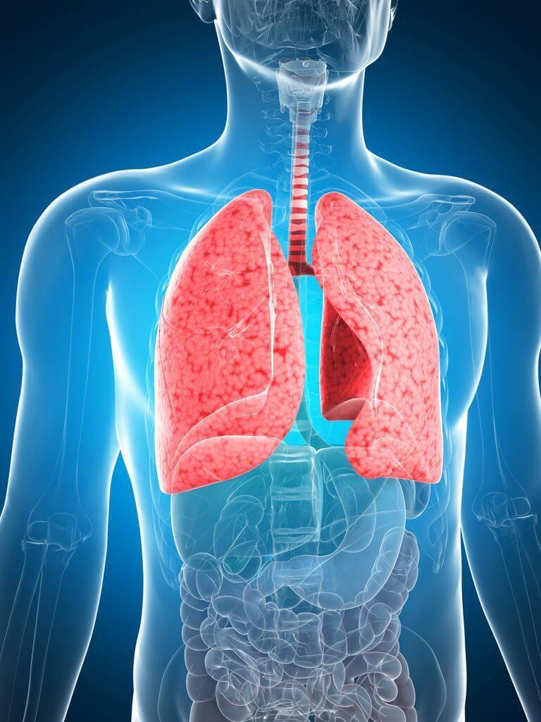 Воспаление лёгких: 5 симптомов, о которых должен знать каждый взрослый