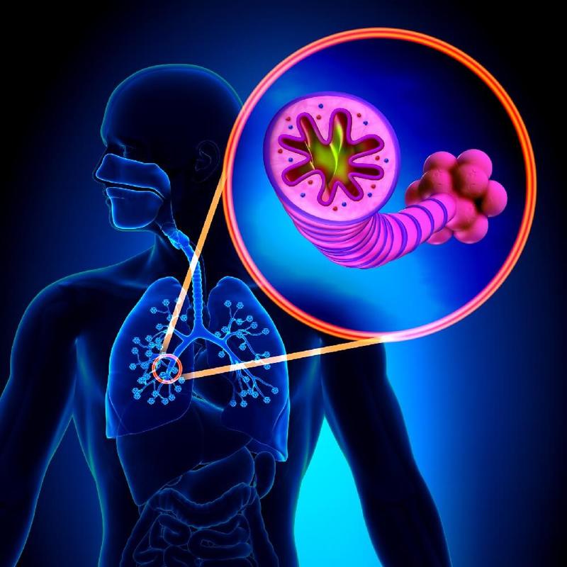 Воспаление лёгких: 5 симптомов, о которых должен знать каждый взрослый