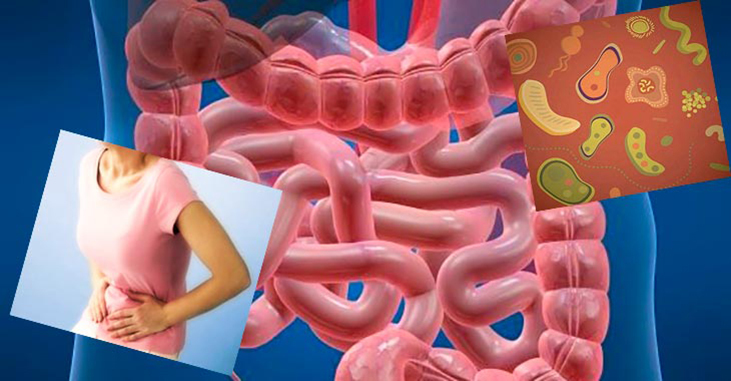 «Война» кишечной микрофлоры: Ответы на 10 вопросов о дисбактериозе