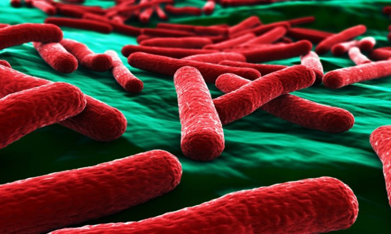 «Война» кишечной микрофлоры: Ответы на 10 вопросов о дисбактериозе