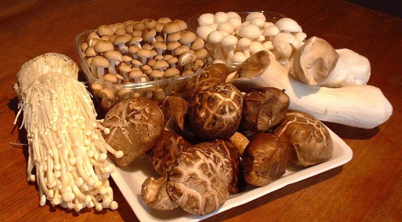 Кордицепс, шиитаке, рейши: целебная магия грибов