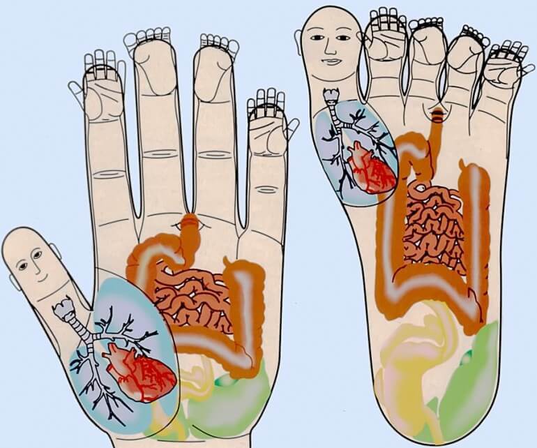 Читаем о болезнях по ногтям! Связь ногтей и внутренних органов