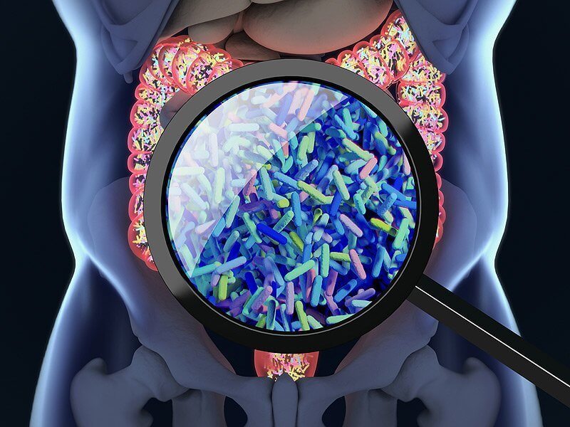  5 фактов, которые ВАЖНО знать про микрофлору кишечника
