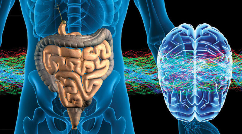 Мозг и кишечник: Психические расстройства, вызываемые кишечными бактериями