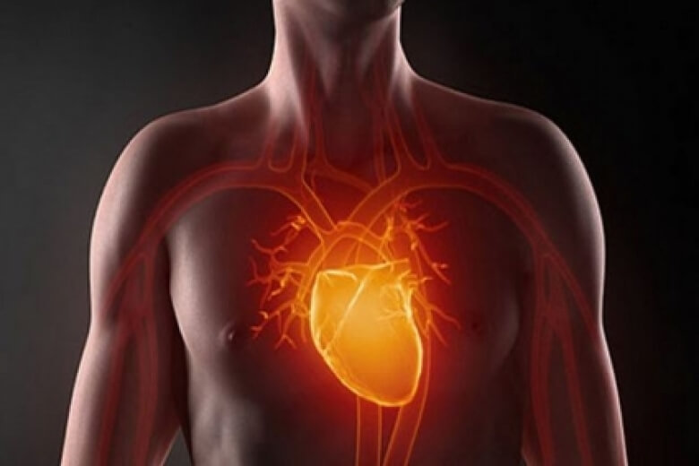 Сердечно-сосудистые заболевания: Коллекция заблуждений