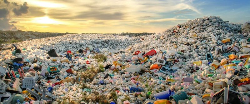 Ученые нашли экологичную и прочную альтернативу пластику