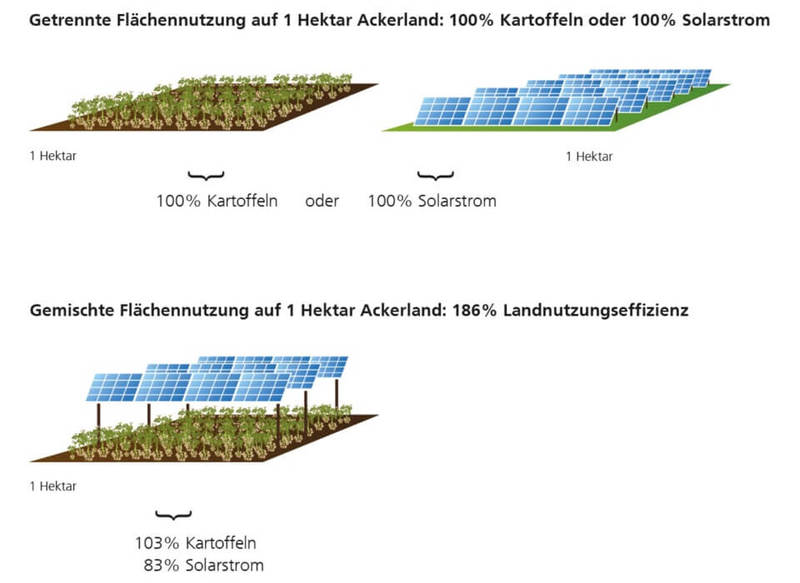 Солнечная энергетика совмещённая с сельским хозяйством — результаты проекта