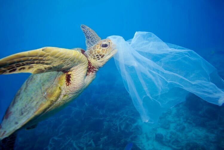180 стран договорились с ООН о регулировании экспорта пластиковых отходов