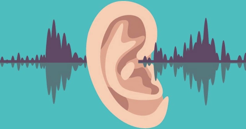 Звук организма слушать. Ухо и звуковые волны. Ухо звук. Ухо улавливает звук. Звуковые волны ухо человека.