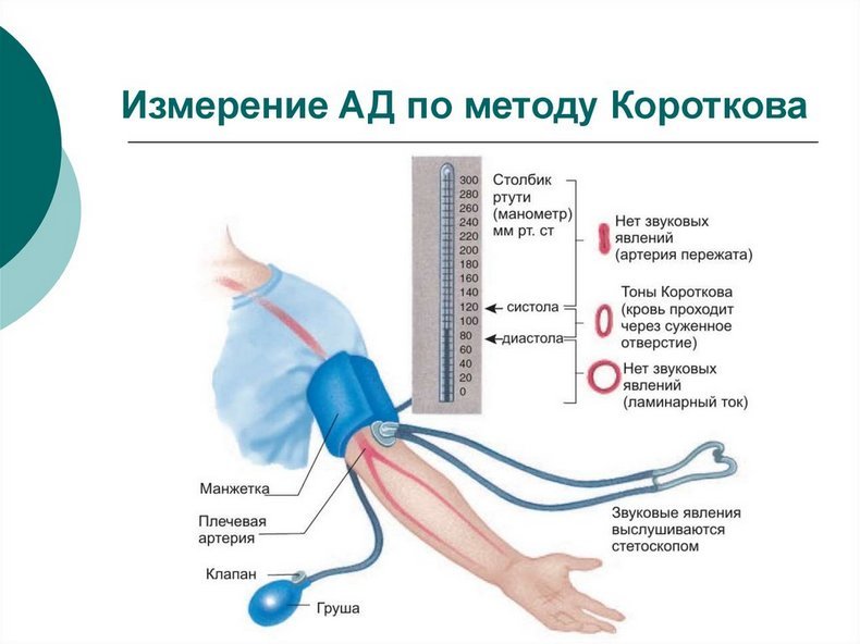 Измерение артериального давления по методу Короткова