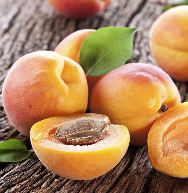 Почему полезно есть абрикосовые косточки