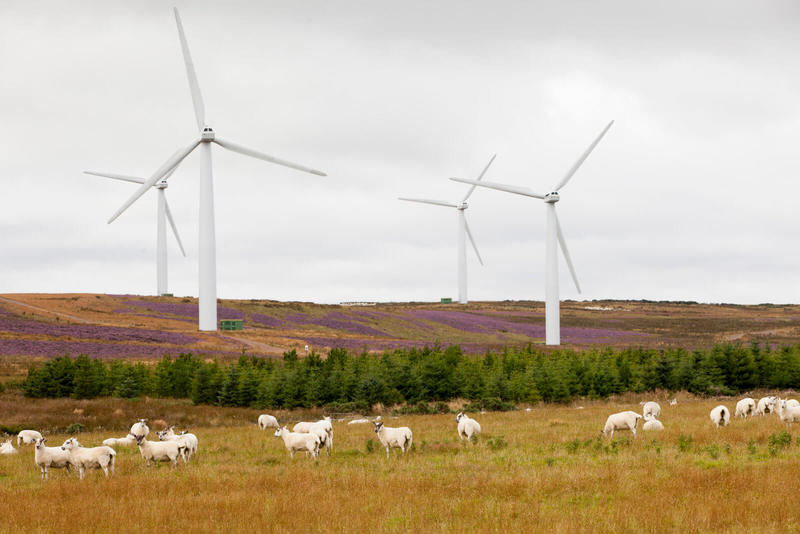 Шотландия выработала вдвое больше энергии ветра, чем ей необходимо