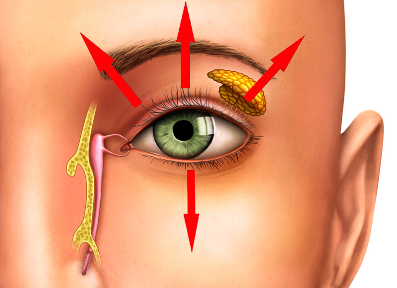 Как открыть запавшие глаза: Укрепляем круговую мышцу глаза за 3 минуты