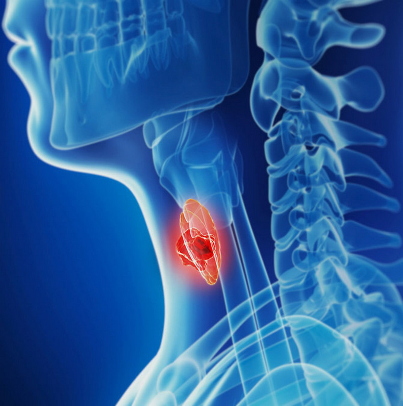 Сигналы организма: Первые признаки заболеваний щитовидной железы