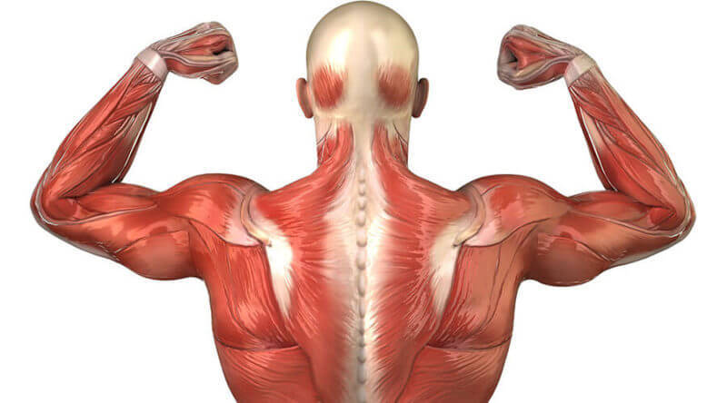 Полный релакс: 5 растягивающих упражнений для снятия боли в плечах