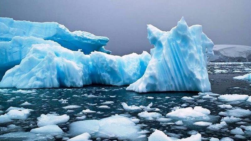 Российские ученые разрабатывают зеленое топливо для Арктики