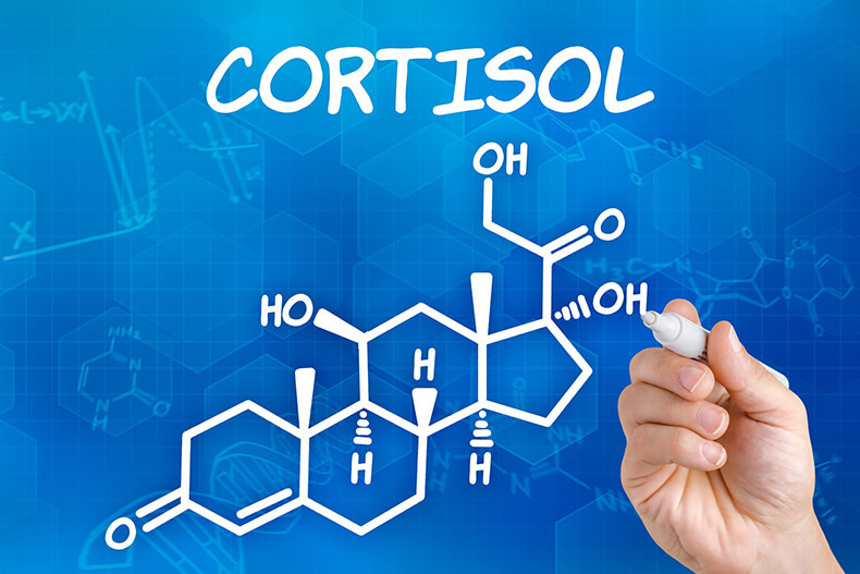 Вся правда о кортизоле: Как поддержать главный гормон в организме