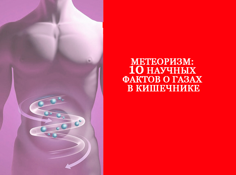 Метеоризм: 10 научных фактов о газах в кишечнике