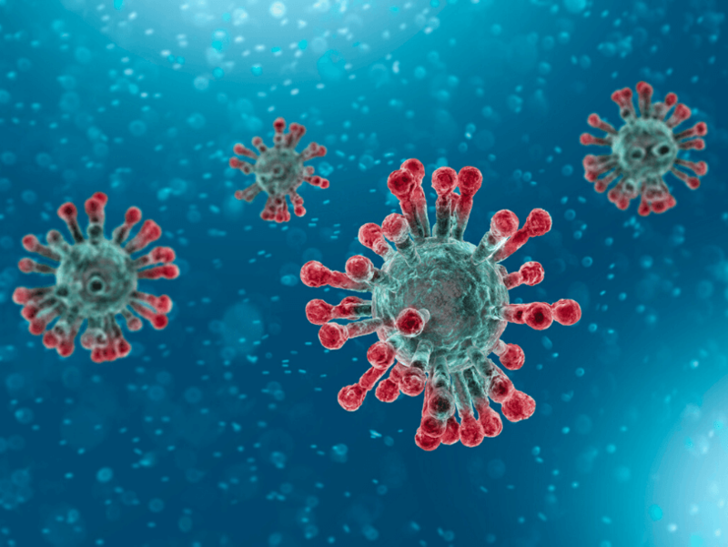 Новый коронавирус - новейший пандемический ужас