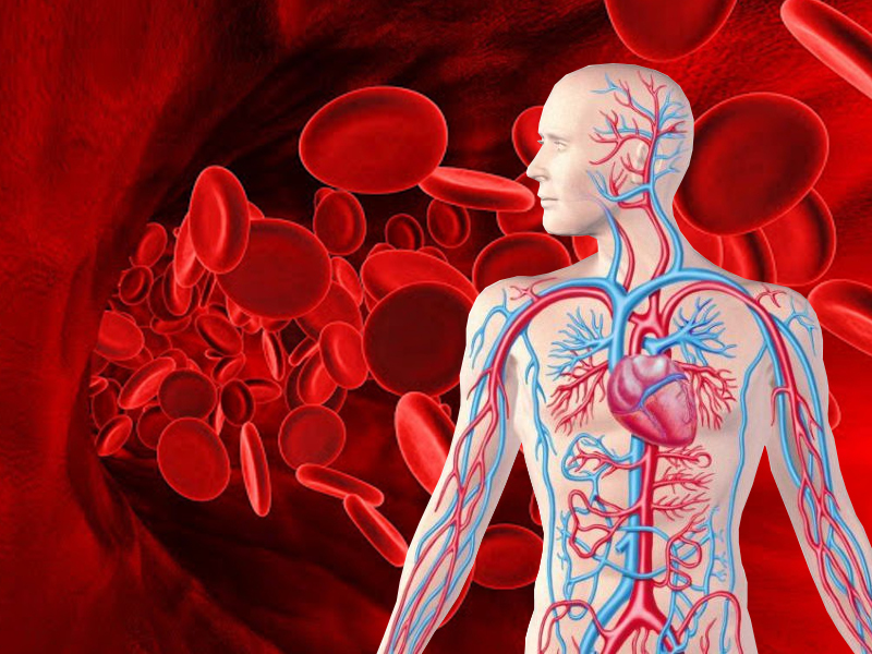 Низкий гемоглобин: симптомы и неочевидные нюансы питания