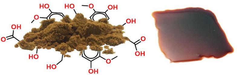 Пластик из дерева? Рентгенография указывает путь к компонентам на основе лигнина