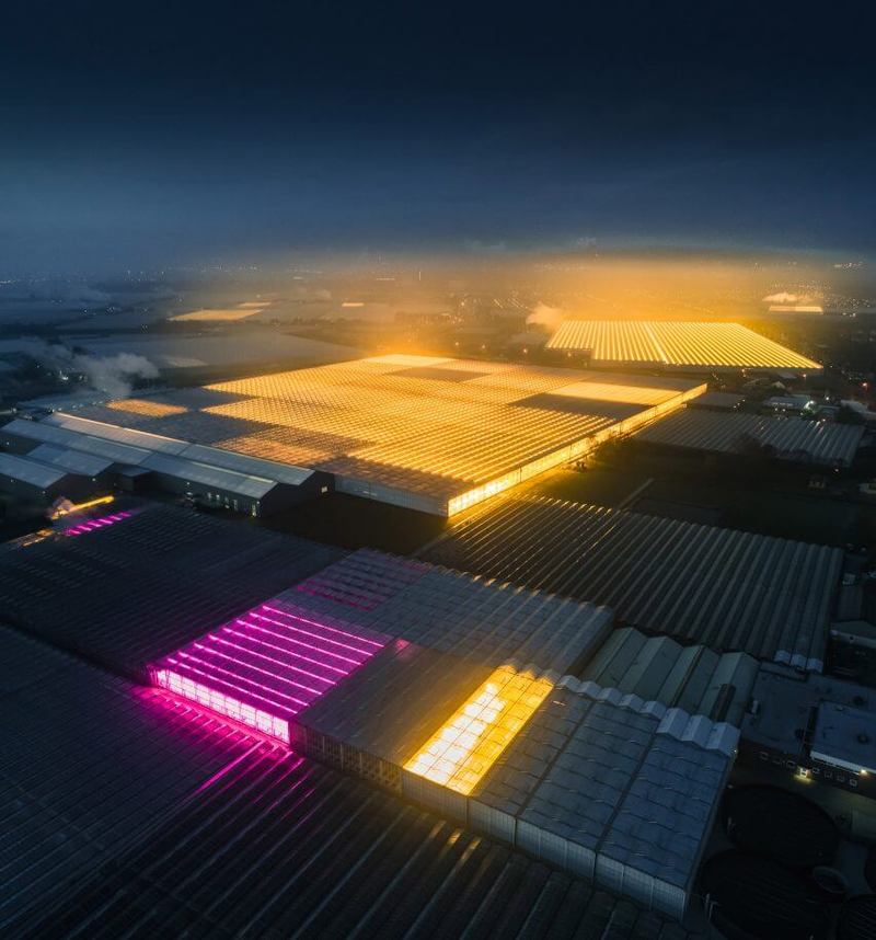 Том Хеген фотографирует светящиеся оранжереи Нидерландов