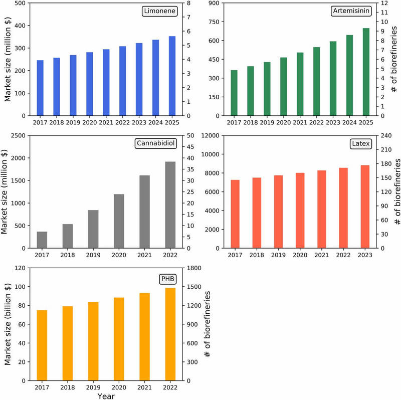 Исследователи описывают, как биотопливо может достичь ценового паритета с нефтяным топливом