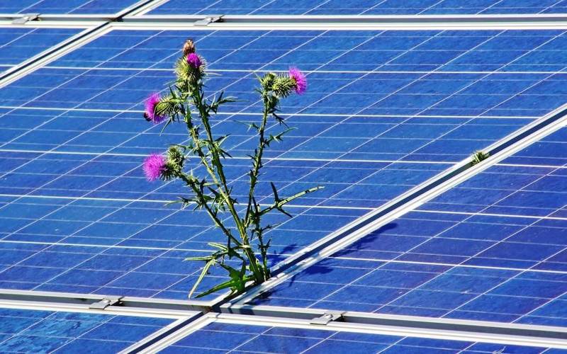 Исследователи нашли причину падения производительности новых солнечных элементов