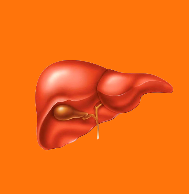 Как улучшить здоровье лимфосистемы: Топ-6 продуктов, чистящих лимфу