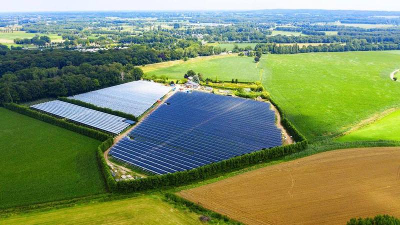 Малина растет под солнечными батареями в Нидерландах