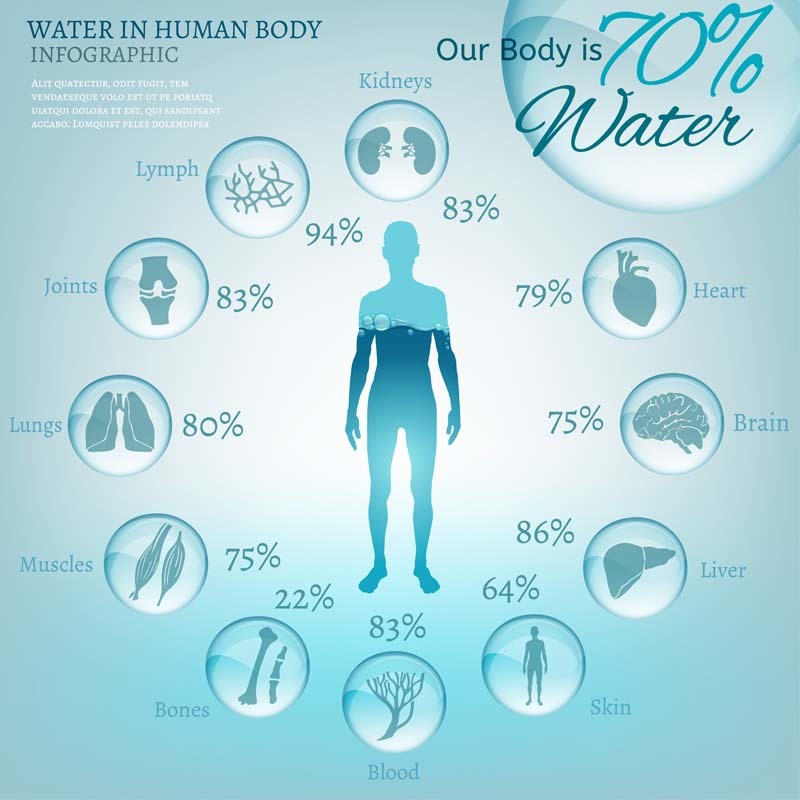 Почему так важно пить достаточное количество воды