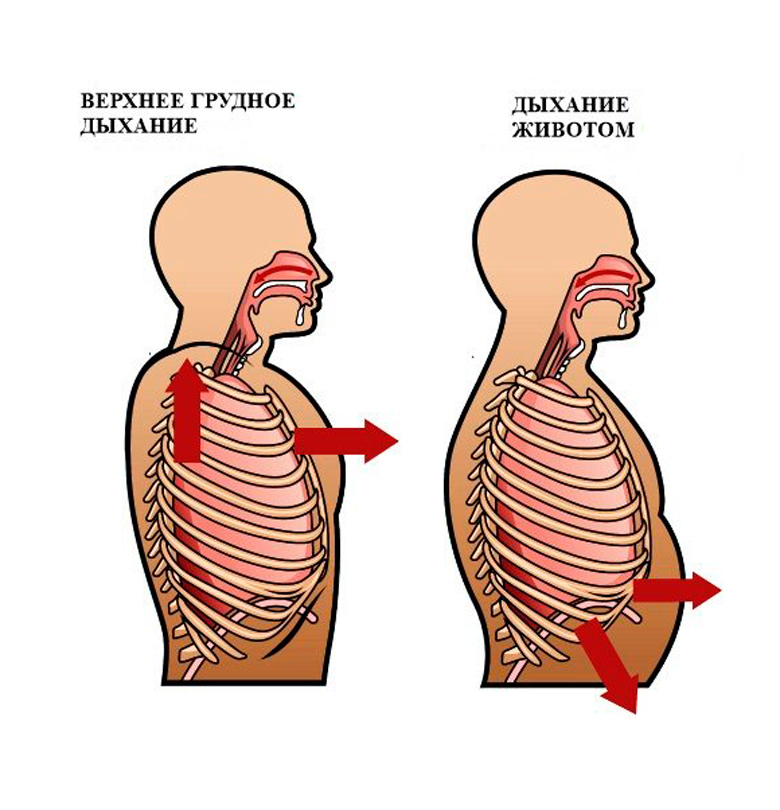 Прямое нижнее дыхание: источник энергии, красоты и здоровья