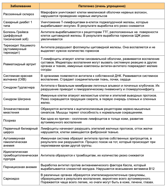 Как связаны микрофлора и аутоиммунные заболевания: что говорит наука?