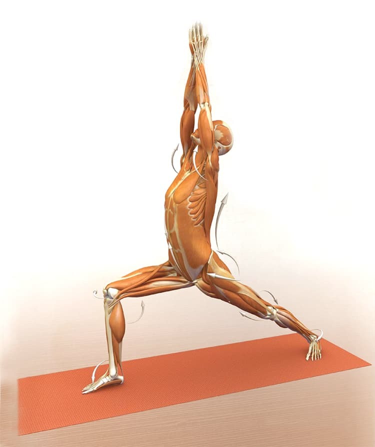 5 упражнений, которые укрепят тело и вернут душевное равновесие 