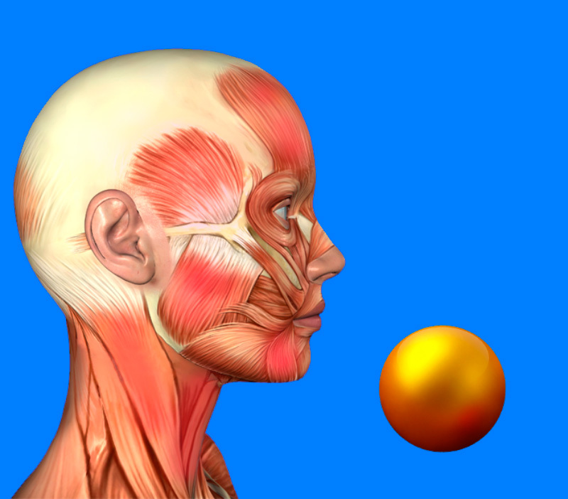 Аnti-age эффект: техника расслабления мышц лица от врача-нейробиолога